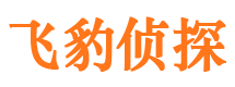 宝坻侦探社